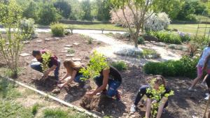 почистване добрич