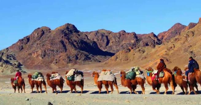Монголска авантюристка ще премине 12 000 км с керван от