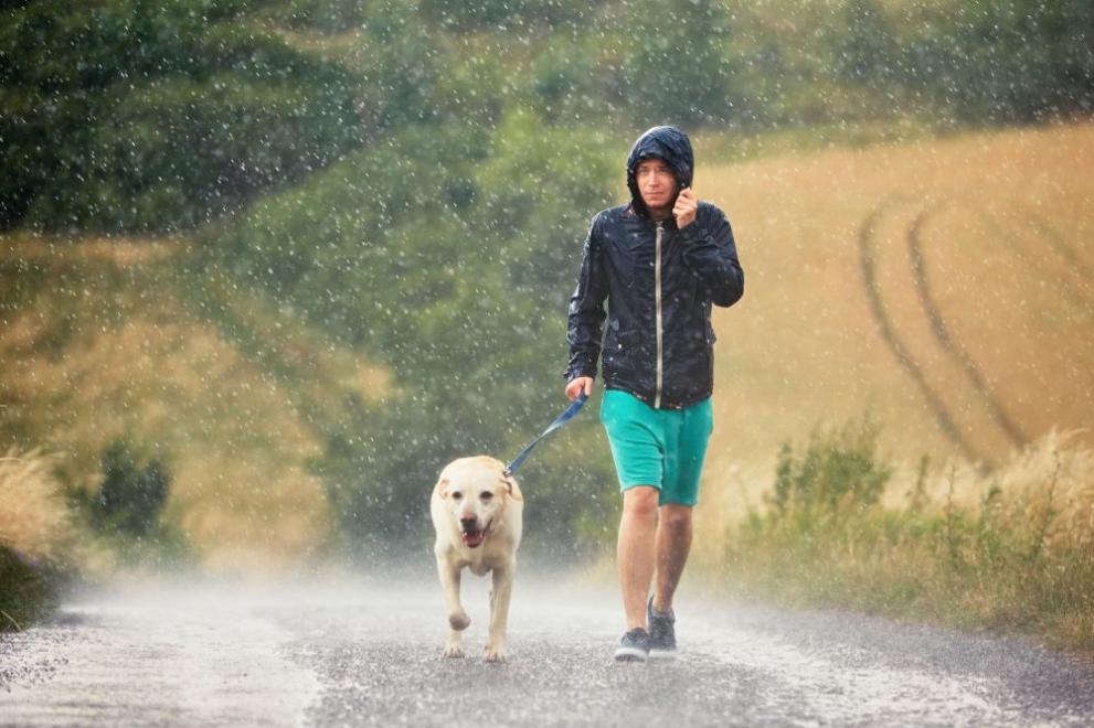 дъжд разходка куче