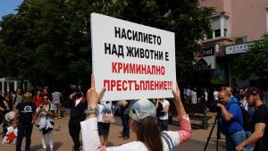 протест вегани