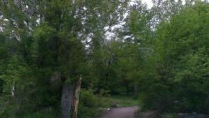 болница имот