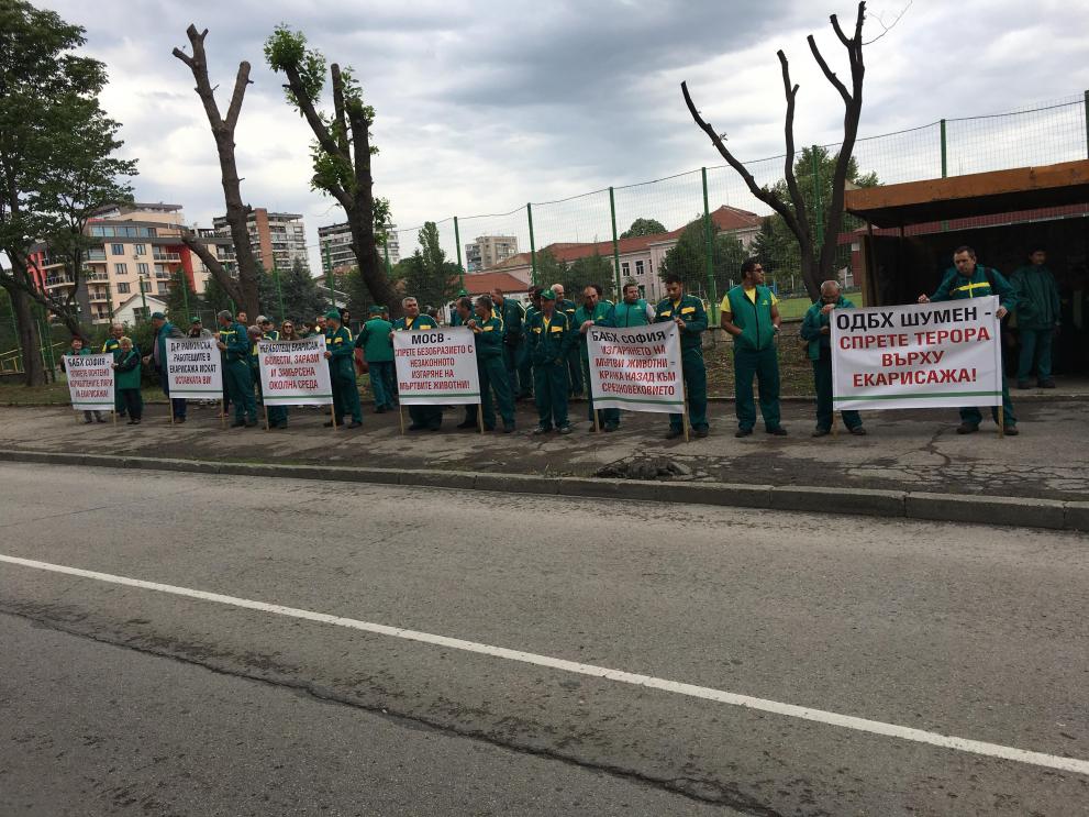 Служителите на екарисажа излязоха на протест