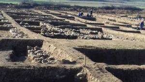 Благоевград