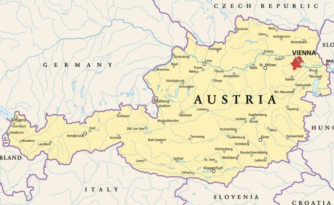Австрия анулира двойното гражданство за турците