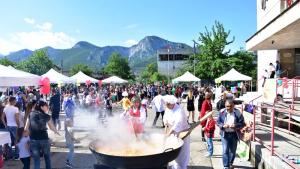 Враца демонстрация