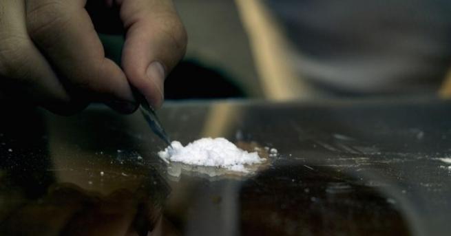 Учени от Свободния университет в Брюксел идентифицираха ген който отговаря