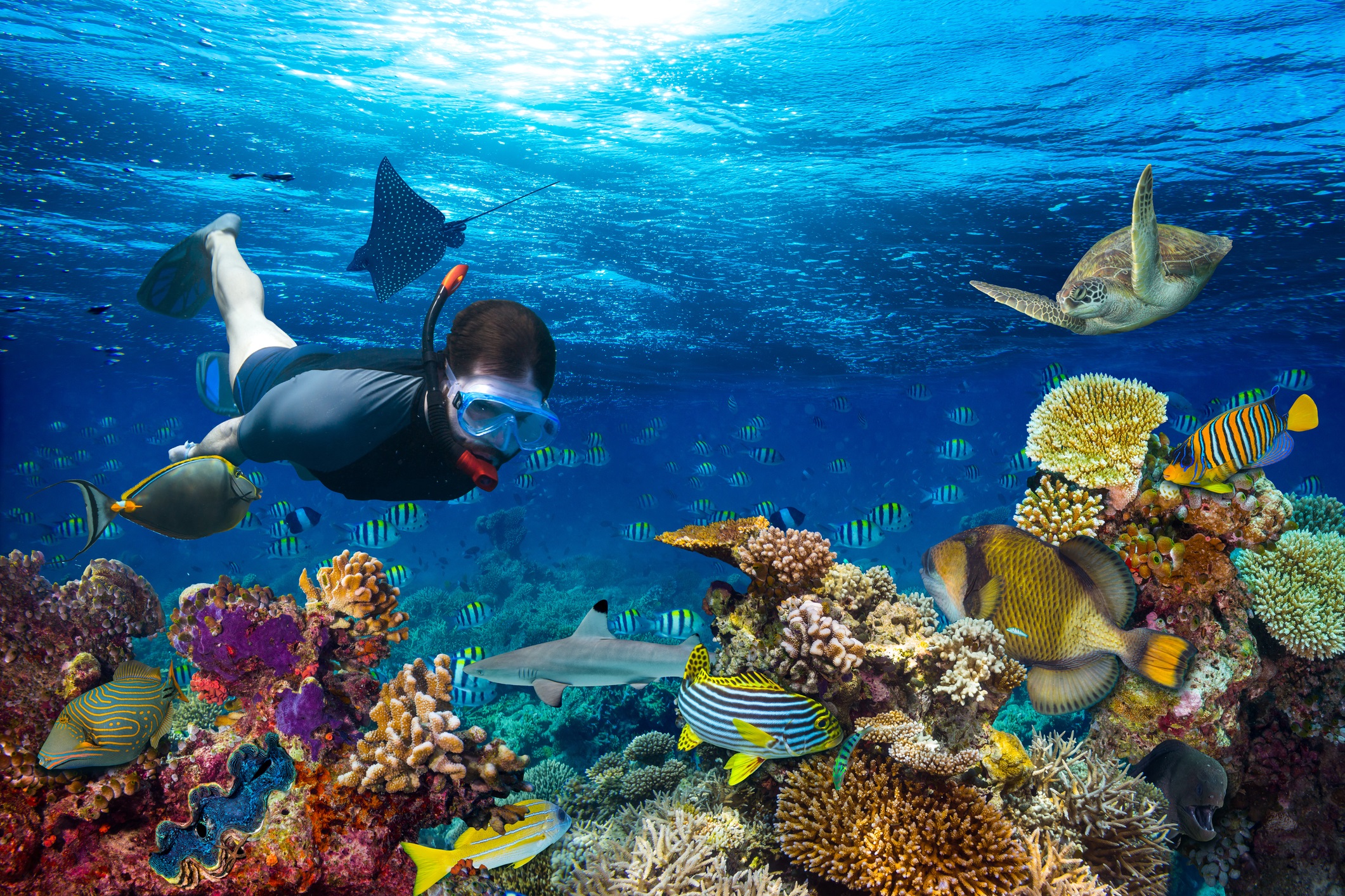 Маая Тила, Малдиви<br />
Райската островна държава Малдиви е мечтана дестинация не само за почивка за хиляди хора, но се слави като едно от най-добрите места за гмуркане в света.<br />
Подводната флора и фауна, кораловите рифове, тюркоазените чисти води предлагат отлични условия, както за гмуркане с шнорхел и плавници, така и за напреднали гмуркачи, които могат да се спуснат на дълбоко, за да опознаят невероятния подводен свят. Маая Тила е коралов остров с диаметър 80 кв.м. който лесно може да се обиколи от всички страни само с едно гмуркане.