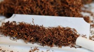 Благоевград