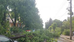 поражения Бяла Слатина