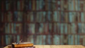 книги библиотека