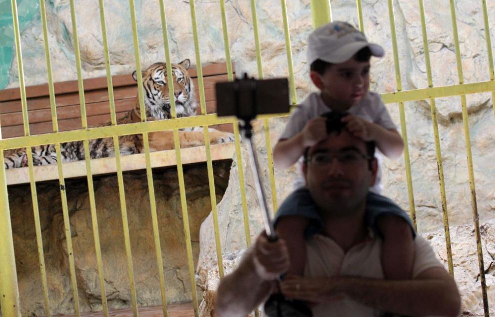  София зоопарк 