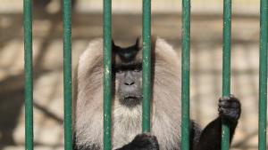 София зоопарк