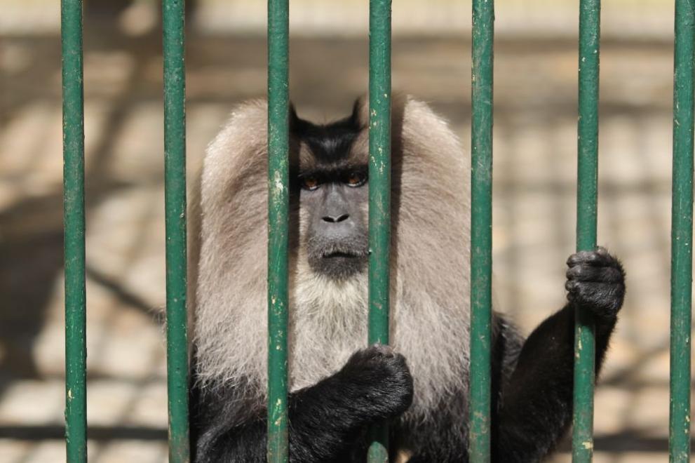  София зоопарк 