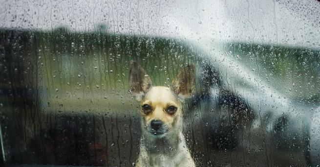 През нощта над по голямата част от страната ще преобладава