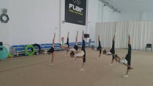 Художествена гимнастика Велбъжд