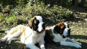 киноложка изложба