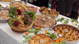 кулинарен фестивал