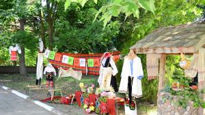 фестивал Иново