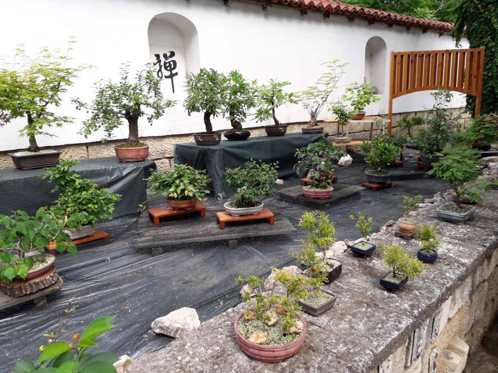  Най-важно е търпението 