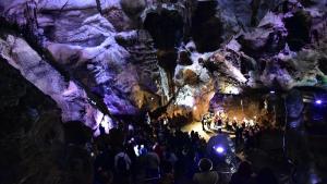 концерт Леденика