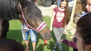 мисия Номад