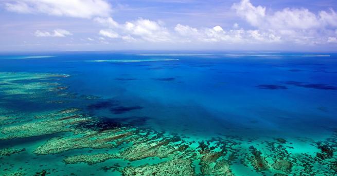 Големият бариерен риф от корали край Австралия е преживял пет