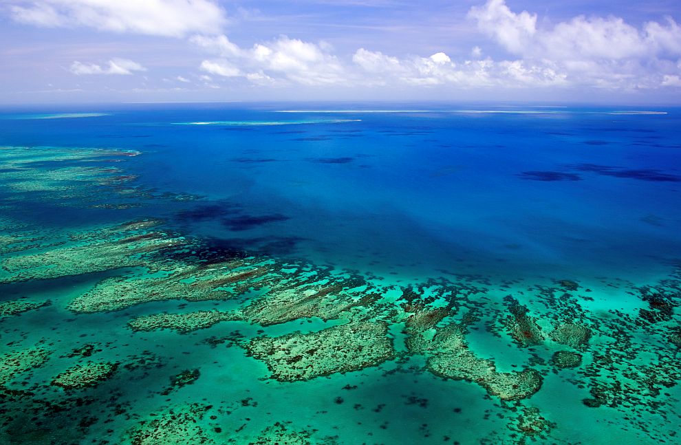 Големият бариерен риф на източното австралийско крайбрежие е най-голямата коралова система в света
