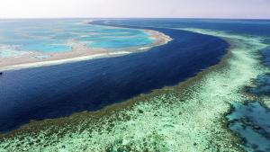 Големият бариерен риф