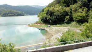 Скандал бракониери