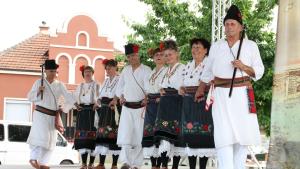 читалище Видинско