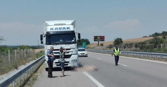 катастрофа на магистрала Турски тираджия бе прегазен и убит от