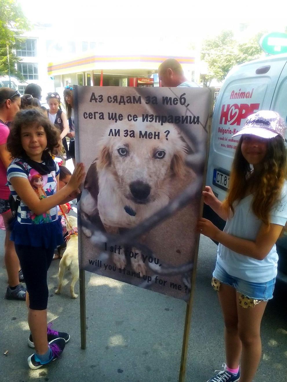  Празник на розата 