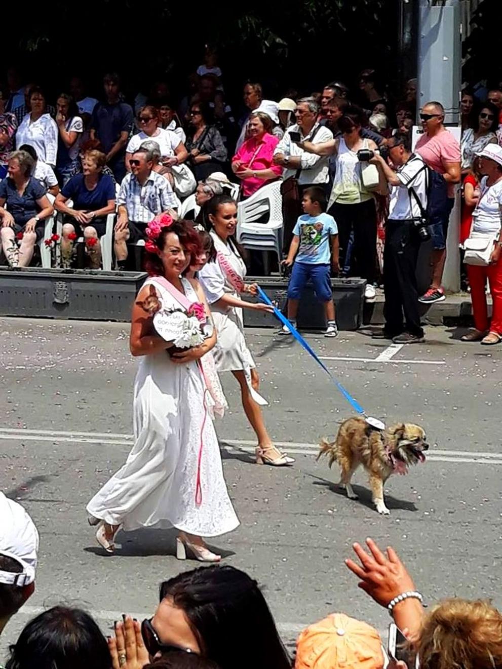  Празник на розата 