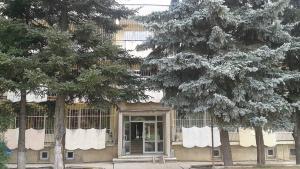 цнст добрич