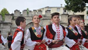 концерт Видин