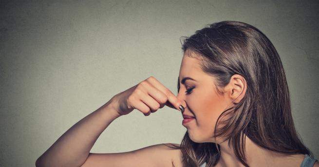 Британски учени откриха че обонянието изчезва когато човек е зает