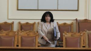 парламент Теменужка Петкова