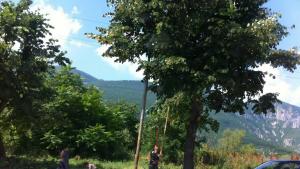 бране липа нарушител Враца