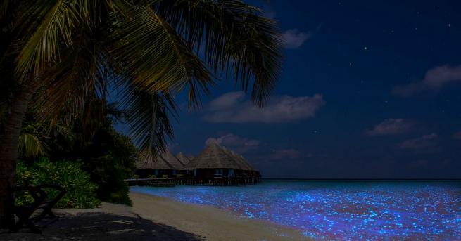 По света има толкова много вълшебни места Този път обаче