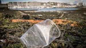 море пластмаса замърсяване