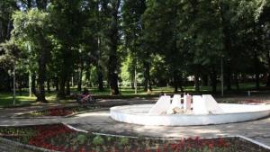 лятно залесяване