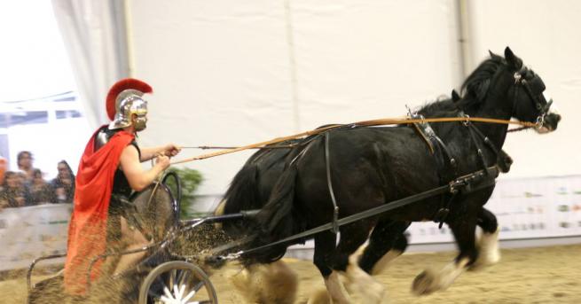 Всеки жадува за адреналин Някои хора изпитват тръпка от малки