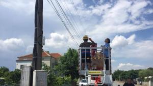 спасени щъркелчета