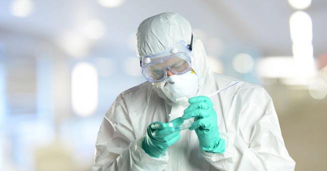 Бубонната чума върлува от четири хилядолетия, съобщават учени, които са