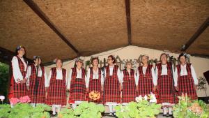 етнофестивал Видин