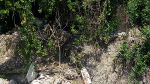 Стена се срути върху археологията на Одеона