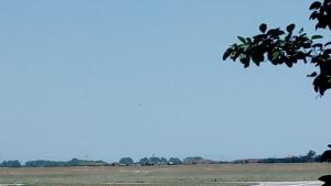 инцидент Крумово