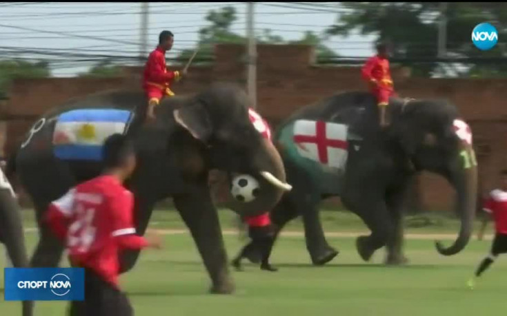 В Тайланд разиграха Мондиал 2018 със слонове
