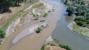 Луда Яна мътна