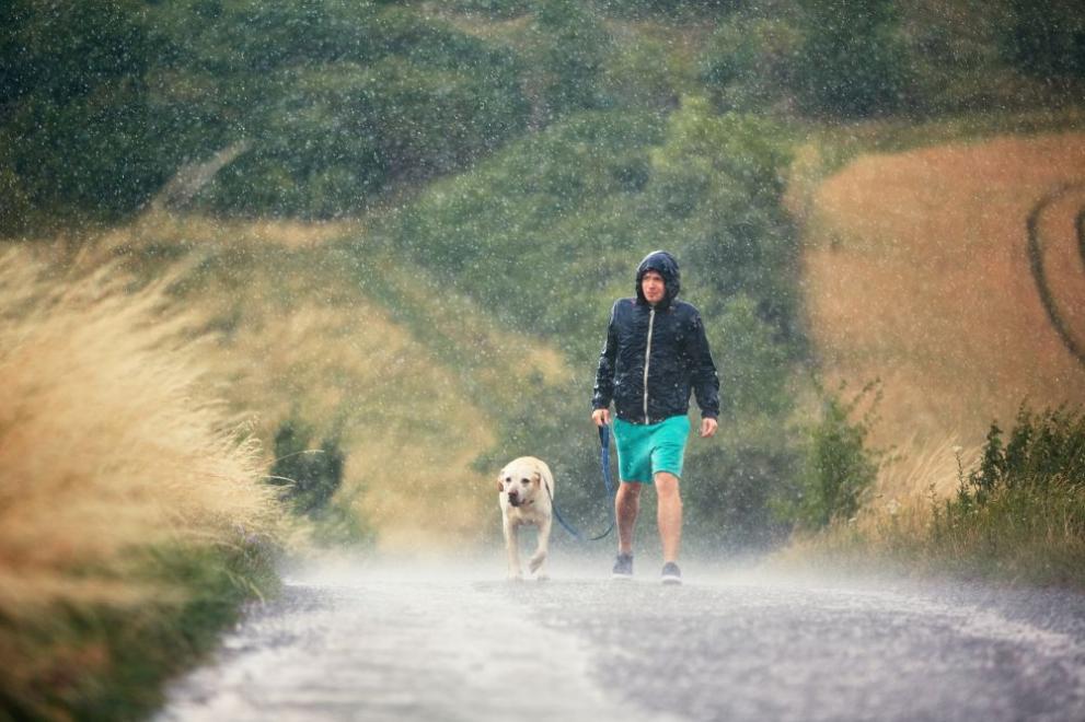 дъжд мъж куче времето
